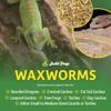 Josh's Frogs Waxworms (50 Count) view 2
