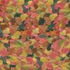 Tetra 16155 Min Large Tropical Flakes For Top/Mid Feeders, 5.65-Ounce view 3