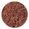 Hikari Bio-Pure Freeze Dried Blood Worms for Pets, 0.42-Ounce view 3