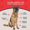 Animal Essentials Sea-Cal - Pure Seaweed Calcium Powder for Dogs with Magnesium, Joint Supplement for Dogs & Cats for Healthy Bones & Teeth, Joint Health, Vegan Icelandic Seaweed Calcium - 12 oz view 2
