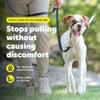 PetSafe Gentle Leader No-Pull Dog Headcollar - The Ultimate Solution to Pulling - Redirects Your Dog's Pulling for Easier Walks - Helps You Regain Control - Medium, Fawn view 2