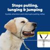 PetSafe Gentle Leader No-Pull Dog Headcollar - The Ultimate Solution to Pulling - Redirects Your Dog's Pulling for Easier Walks - Helps You Regain Control - Medium, Fawn view 3