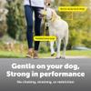 PetSafe Gentle Leader No-Pull Dog Headcollar - The Ultimate Solution to Pulling - Redirects Your Dog's Pulling for Easier Walks - Helps You Regain Control - Medium, Fawn view 4