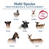 Manna Pro Calf-Manna, Multi-Species Performance Supplement for Livestock, Poultry, Cattle, Goats, Rabbits, Swine, Horses & Deer, High-Protein Animal Feed Additive for Growth, Weight Gain, 10 lb Bag view 2