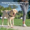 PetSafe Easy Walk No-Pull Dog Harness - Ultimate Harness to Help Stop Pulling - Pull-Free Walks - Take Control & Teach Better Leash Manners - Patented Martingale Loop Design - Black, Large view 2
