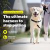 PetSafe Easy Walk No-Pull Dog Harness - Ultimate Harness to Help Stop Pulling - Pull-Free Walks - Take Control & Teach Better Leash Manners - Patented Martingale Loop Design - Black, Large view 3