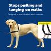 PetSafe Easy Walk No-Pull Dog Harness - Ultimate Harness to Help Stop Pulling - Pull-Free Walks - Take Control & Teach Better Leash Manners - Patented Martingale Loop Design - Black, Large view 4