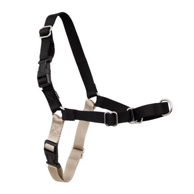 PetSafe Easy Walk No-Pull Dog Harness - Ultimate Harness to Help Stop Pulling - Pull-Free Walks - Take Control & Teach Better Leash Manners - Patented Martingale Loop Design - Black, Medium