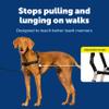 PetSafe Easy Walk No-Pull Dog Harness - Ultimate Harness to Help Stop Pulling - Pull-Free Walks - Take Control & Teach Better Leash Manners - Patented Martingale Loop Design - Black, Medium view 3