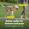 PetSafe Easy Walk No-Pull Dog Harness - Ultimate Harness to Help Stop Pulling - Pull-Free Walks - Take Control & Teach Better Leash Manners - Patented Martingale Loop Design - Black, Medium view 4