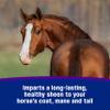 Farnam Vetrolin Shine, High-Luster Coat Polish and Detangler Spray, Ideal for Horses and Dogs, 32 oz. view 4
