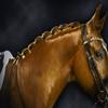 Exhibitor's Quic Braid for Total Mane & Tail Control 16 oz Spray view 3