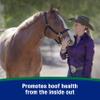 Farnam Horseshoer's Secret Pelleted Hoof & Biotin Supplements, Nutrient-Rich Formula with Amino & Fatty Acids, Omega-3 Minerals, Promotes Hoof Growth & Supports Cracked Hooves, 22 lb, 60-Day Supply view 3