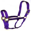 Hamilton 1-Inch Nylon Quality Halter for 500 to 800-Pound Horse, Small, Purple view 1