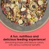 Kaytee Fiesta Cockatiel Food, Nutritious and Fun Blend, Supports Skin, Feather, Digestion, Brain and Heart Health, 4.5 pounds view 2