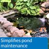 API POND ECOFIX SLUDGE DESTROYER Bacterial cleaner, Pond Water Clarifier and Sludge Remover Treatment 16-Ounce Bottle view 2