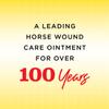 Manna Pro Corona Ointment for Horses | Lanolin-Based Formula Helps Sooth Irritation | 14 Ounces view 2
