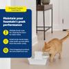 PetSafe Drinkwell Dog and Cat Water Fountain Cleaning Kit, 3 Brushes, Blue, 1 3/8', 1 5/8', 2' brushes (535855) view 2