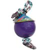 Jolly Pets Romp-n-Roll Rope and Ball Dog Toy, 8 Inches/Large, Purple, Large Breeds view 1