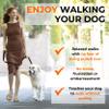 Canny Collar No-Pull Dog Head Collar | Train Your Dog to Stop Pulling & Walk On a Loose Leash | Gentle, Safe, Comfortable Training Aid | Medium Dogs | Black, Size 3 view 4