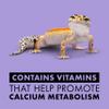 Zilla Vitamin Supplement Food Spray, with Carotene, Spray-on Multivitamin Supplement for Reptiles view 3