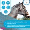 EQyss Premier Equine Shampoo - Conditions & Moisturizes Horse's Coat, Mane & Tail - Enhances All Coat Colors, Promotes Shine, Silicone Free (128 oz) view 4