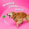 Hartz DuraPlay Bacon Scented Dog Toys, Large 1 Count, Colors may vary view 4