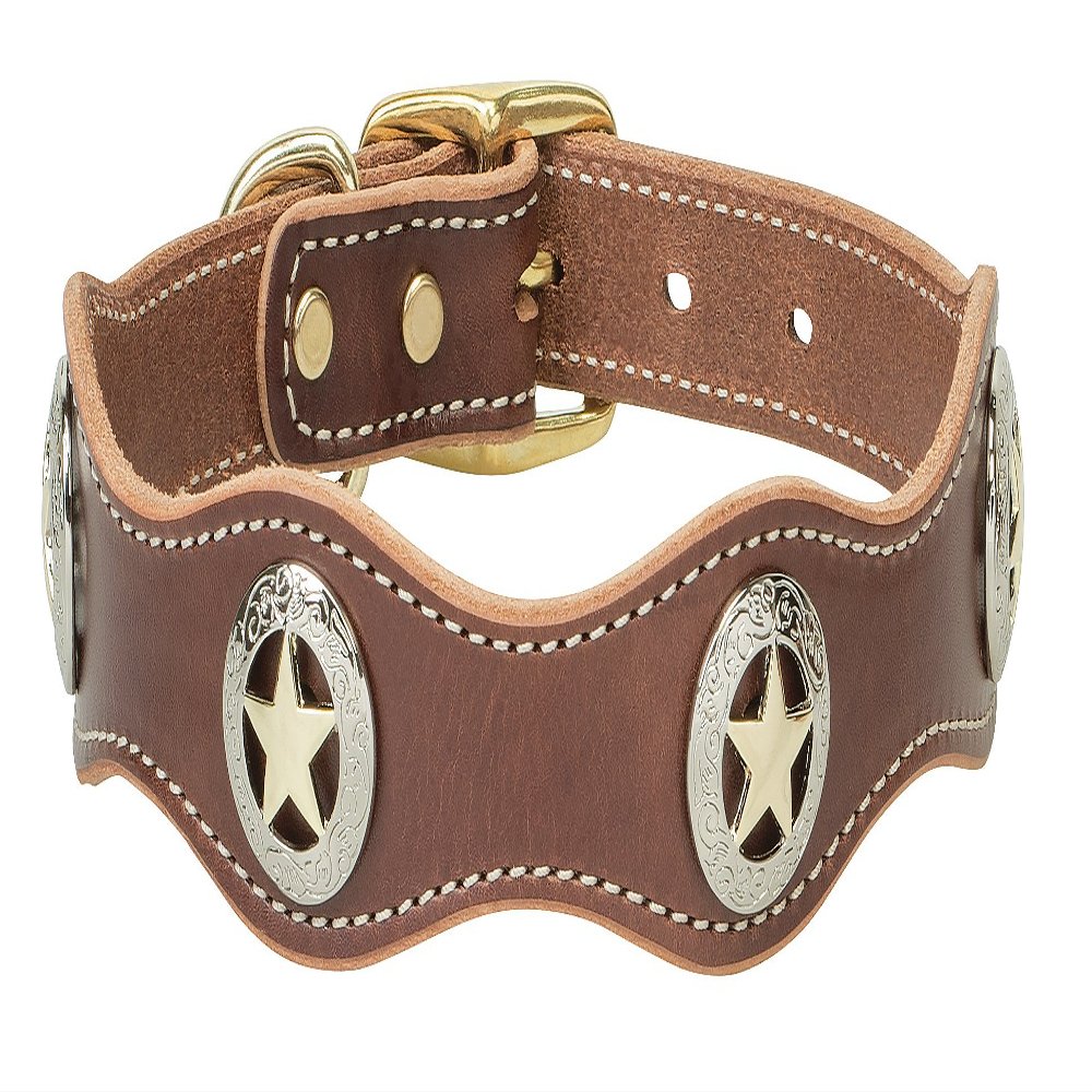 Weaver Pet Lone Star Legend Collar, Sunset, 1 x 19-inch 06-1713-ST-19