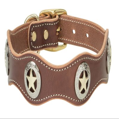 Weaver Pet Lone Star Legend Collar, Sunset, 1" X 25" 06-1713-ST-25