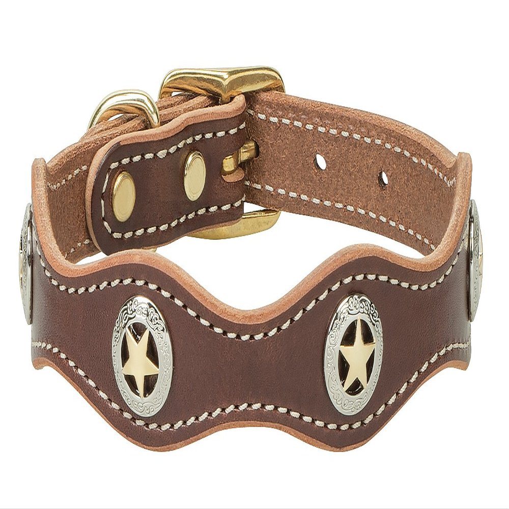 Weaver Pet Lone Star Legend Collar Sunset, 5/8 x 11-inch 06-1711-ST-11