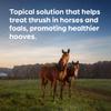 Kopertox (copper napthenate) Water-Resistant Thrush Treatment for Horses and Foals, 16 oz view 3