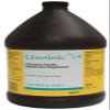 PFIZER Equine Lixotinic view 1