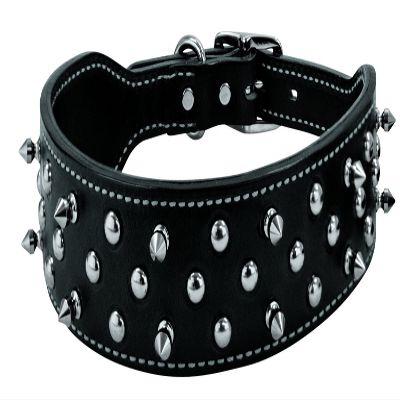 Weaver Leather Pet Spike Collar