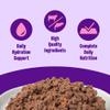 Wellness Complete Health Pate Adult Canned Wet Cat Food, Natural, Protein Rich, Grain Free, Beef and Salmon Entre Recipe, 3 oz, Pack of 24 Cans view 2