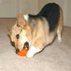 Starmark Everlasting Treat Bento Ball Tough Dog Chew Toy Small view 2