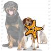 TUFFY - World's Tuffest Soft Dog Toy - Ocean Starfish - Squeakers - Multiple Layers. Made Durable, Strong & Tough. Interactive Play (Tug, Toss & Fetch). Machine Washable & Floats view 2