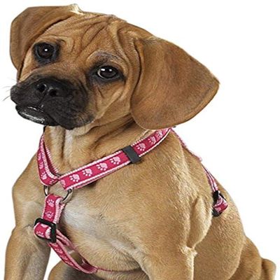 Guardian Gear Nylon Two Tone Pawprint Dog Harness, 28-36-Inch, Pink