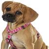Guardian Gear Nylon Two Tone Pawprint Dog Harness, 28-36-Inch, Pink view 1