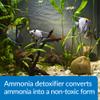 API AMMO-LOCK Freshwater and Saltwater Aquarium Ammonia Detoxifier 8-Ounce Bottle view 3