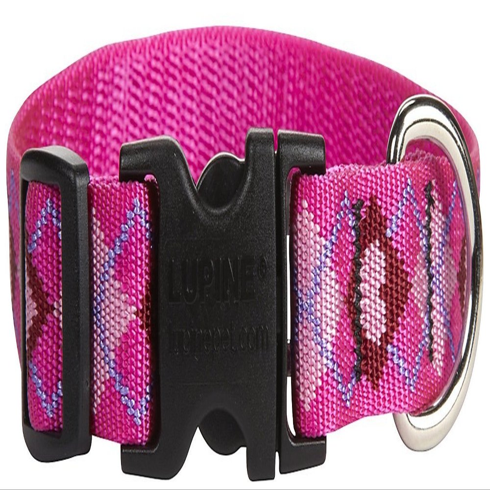 LupinePet Originals 3/4" Puppy Love 15-25" Adjustable Collar for Large Dogs