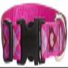 LupinePet Originals 3/4" Puppy Love 15-25" Adjustable Collar for Large Dogs view 1