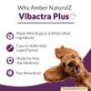 Amber NaturalZ Vibactra Plus Herbal Supplement for Dogs, Cats, Birds, Guinea Pigs, and Rabbits | Herbs for Immune Health and Yeast Balance | 1 Fluid Ounce Glass Bottle view 3