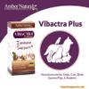 Amber NaturalZ Vibactra Plus Herbal Supplement for Dogs, Cats, Birds, Guinea Pigs, and Rabbits | Herbs for Immune Health and Yeast Balance | 1 Fluid Ounce Glass Bottle view 4