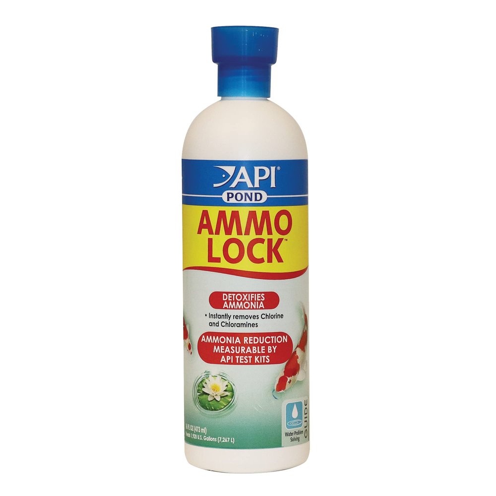 API POND AMMO-LOCK Ammonia detoxifier For Pond Water 16-Ounce Bottle