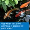 API POND AMMO-LOCK Ammonia detoxifier For Pond Water 16-Ounce Bottle view 2