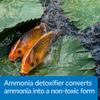 API POND AMMO-LOCK Ammonia detoxifier For Pond Water 16-Ounce Bottle view 4