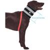 BiteNot Collar, 6" W x 27" L view 2