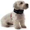 BiteNot Collar, 6" W x 27" L view 3