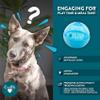 Our Pets Smarter Toys IQ Treat Ball - Colors Mary Vary - 4" - for Larger Dogs view 3