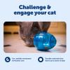 PetSafe FUNKitty Egg Cersizer - Cat Slow Feeder - Interactive Cat Meal Dispensing Toy - Great for Portion Control and Fast Eaters - Improve Digestion - Cat Enrichment and Exercise Toy view 3